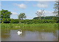 The winding hole at the bottom of Audlem Flight, Shropshire