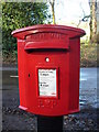 Modern Postbox, Shere