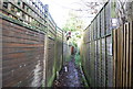 Footpath through Langton Green