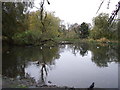 Duck pond in Queens Park