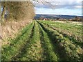 Path towards Donnington