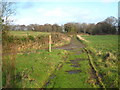 SX4453 : Footpath from Empacombe to Cremyll by Rod Allday