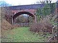 Bridge over the disused railway