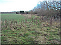 Arable land east of Lower Hook