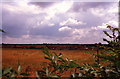 SE5649 : Field overlooking Woodthorpe by Michael Jagger