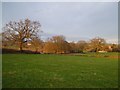 Towards Cheddon Fitzpaine