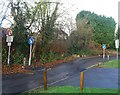 Traffic calming, Spot Lane