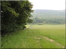 NT1598 : Fields below Benarty Hill by Richard Webb