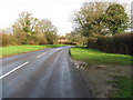 Looking north on Loxwood road approaching the outskirts of Tisman