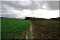 Footpath heading for Howe Court Wood