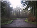 Track into Kennerleigh Wood