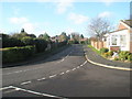 Looking towards the far end of Redwing Road