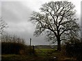 Gate and footpath off Tanhouse Lane