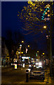 East Finchley Christmas Lights