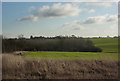 Fields west of Hill Farm