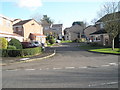 Looking from Downwood Way into Well Copse Close