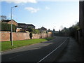 Lamppost in Downwood Way