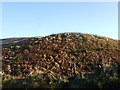 A hillock with dead bracken