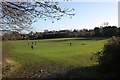 Southerly football pitch below Sling Lane