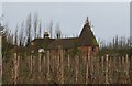 Oast house on Back Street