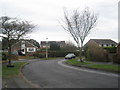 Lamppost in Rosemary Way