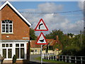 Ducks Crossing Ahead, Castle Bytham