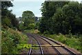 Footpath crossing at Butterrow