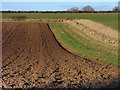 Farmland, Broughton