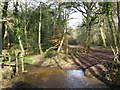 Ford and bridleway near Fleet Pond