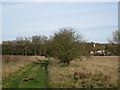 Footpath to Great Bramshot Farm