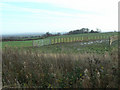 New fences at Owthorpe Lodge