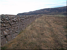 NG2254 : Wall at Claigan by Richard Dorrell
