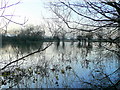 Flooded North Meadow 3