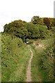 Path going up to Hambledon Hill