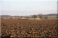 Farmland at Thorpe Morieux