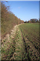 Footpath to Rookwood Lane