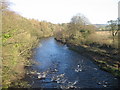 River South Tyne from Ridley bridge