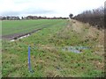 Soggy field, off the A50