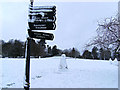 Snowmen at the Gnoll