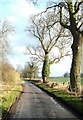 SP5767 : Lane east of Ashby St Ledgers by Pauline W