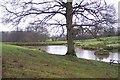 TQ8435 : Pond in Bishopsdale Farm by David Anstiss