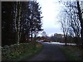 Bend in minor road east from Lochton of Leys