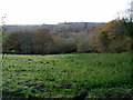 View over Kit Valley