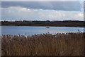 TR2261 : Lake, Stodmarsh Nature Reserve by N Chadwick