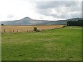 Farmland, Bellfield