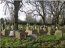 SO5923 : Churchyard, St Mary's, Ross-on-Wye by Pauline E