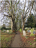 SO5923 : Churchyard path in December by Pauline E