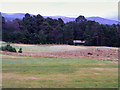 The Golf Course at Grantown-on- Spey