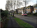 Winter trees in Scantabout Avenue