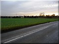 No hedge, wall or fence on the south side of Sutton Lane